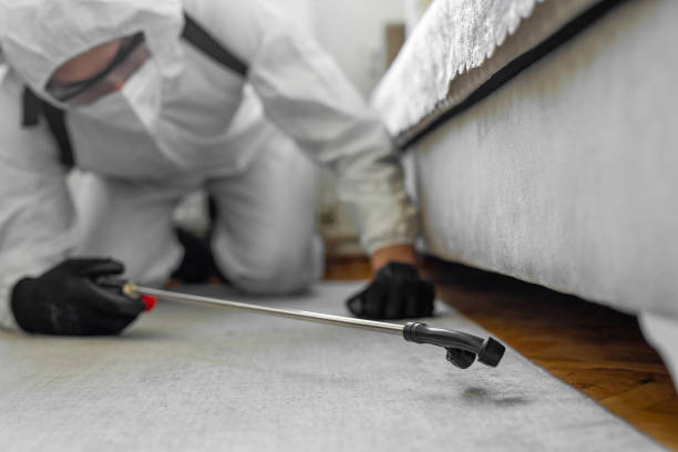 Professional Pest Control technician working in Moore County County, TN